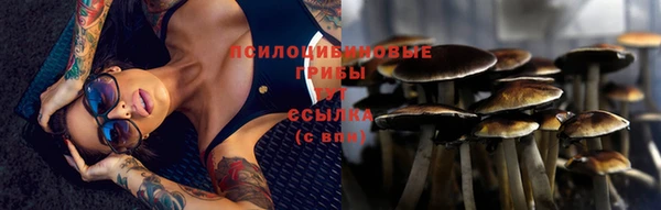 spice Дедовск