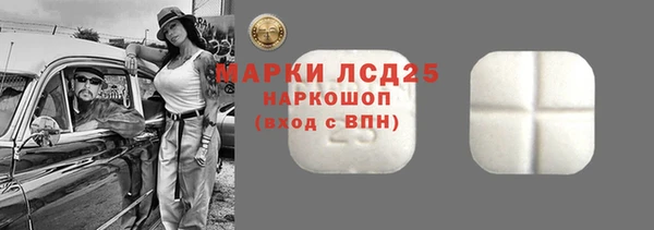 spice Дедовск