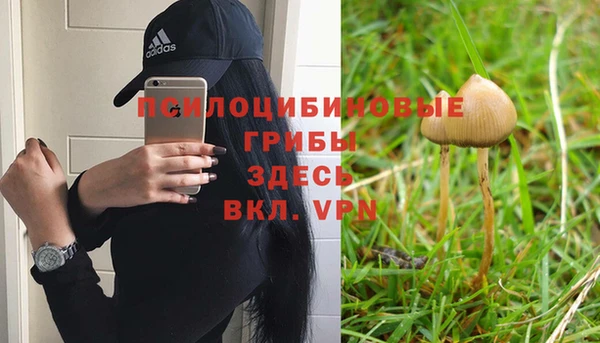 спиды Абаза