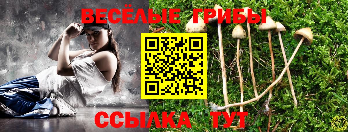 Псилоцибиновые грибы Cubensis  Вход с VPN  Дубна 